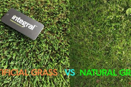 العشب الطبيعي & العشب الصناعي