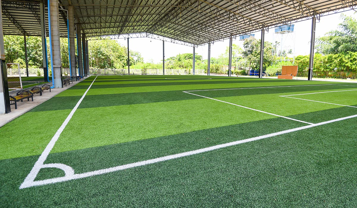 duo artificial grass